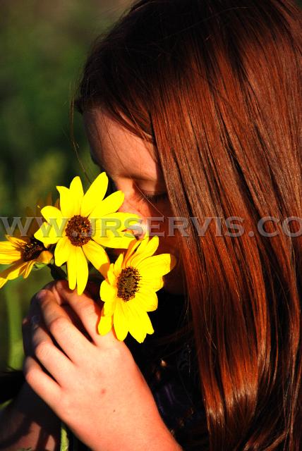 Girl with Sunflowers.jpg